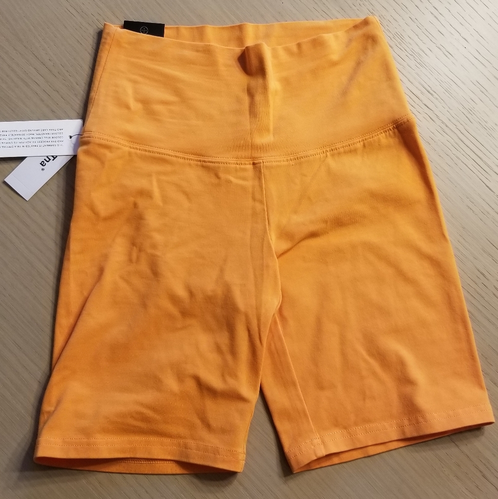 Aritzia Bike Shorts